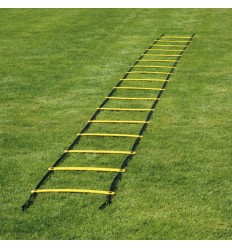 42045 Court Royal Coordination Ladder